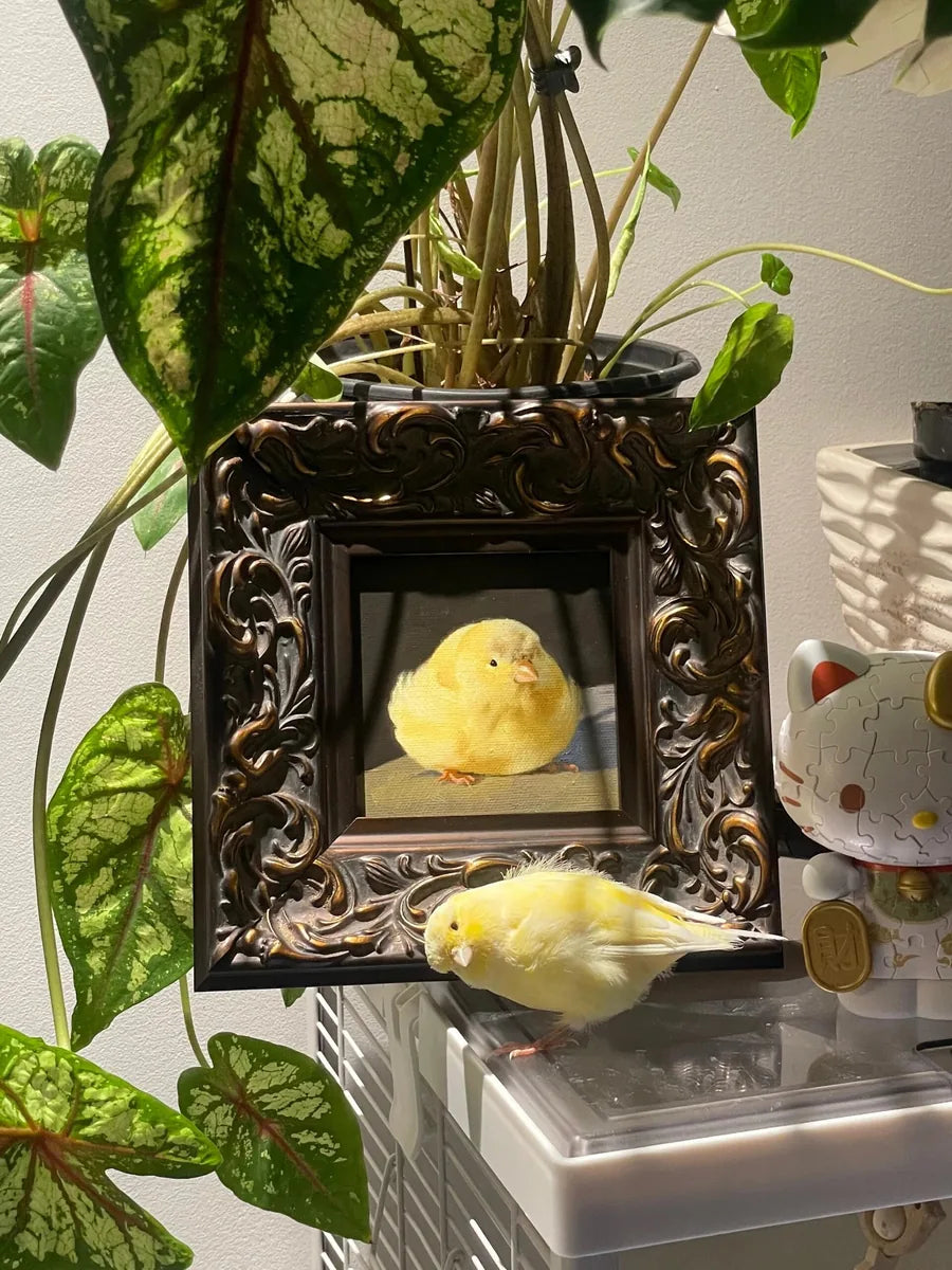 Framed bird oil portrait