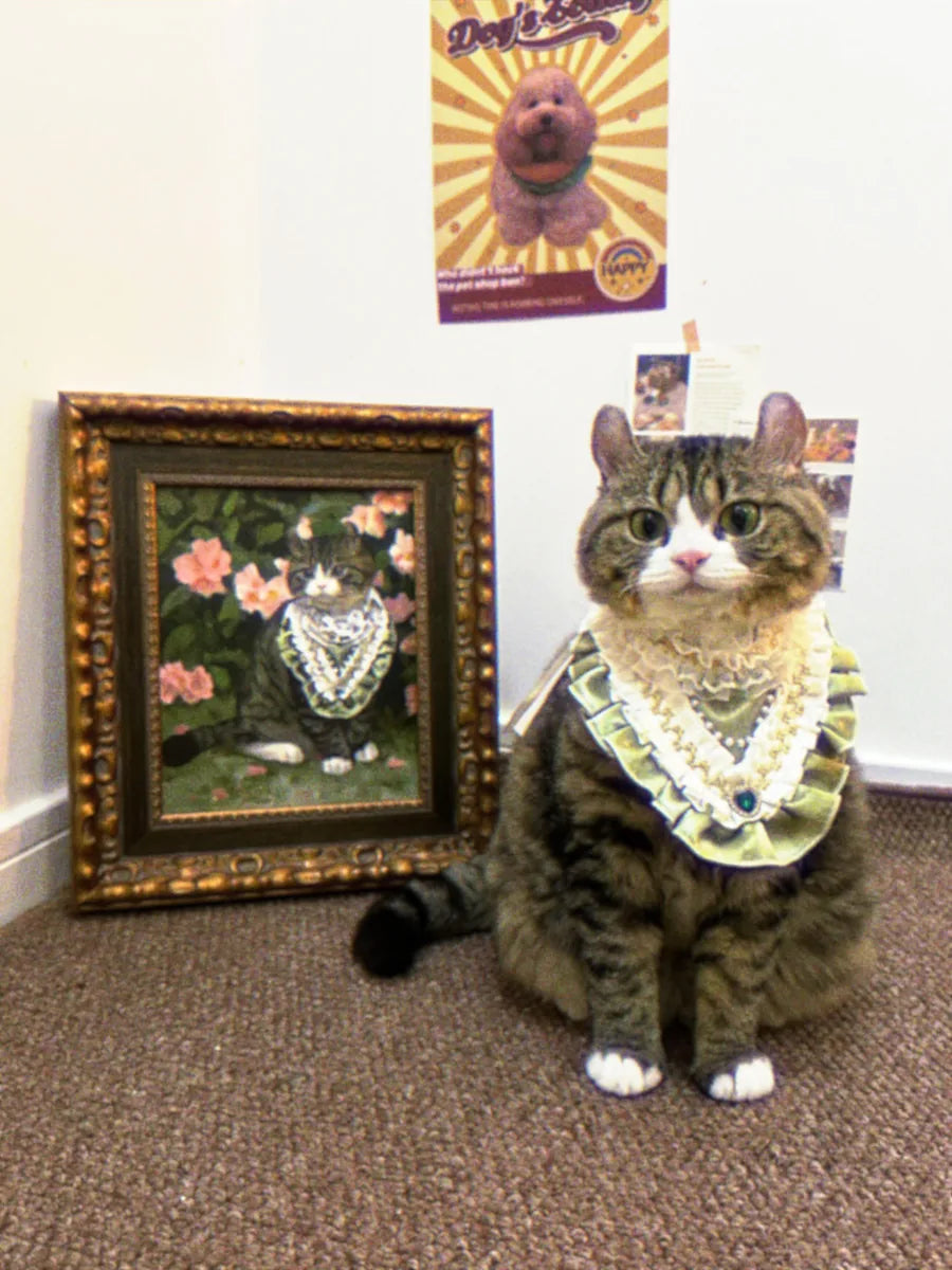 Cat and daisies oil portrait