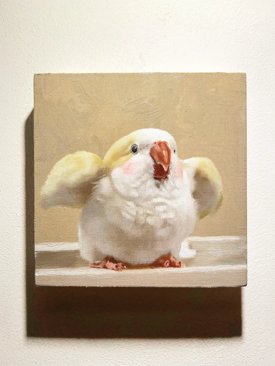 Cat close up oil portrait