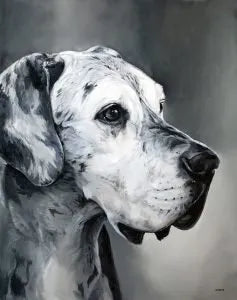 Custom pet portrait painting by Feifei 21