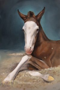 Custom pet portrait painting by Feifei 28