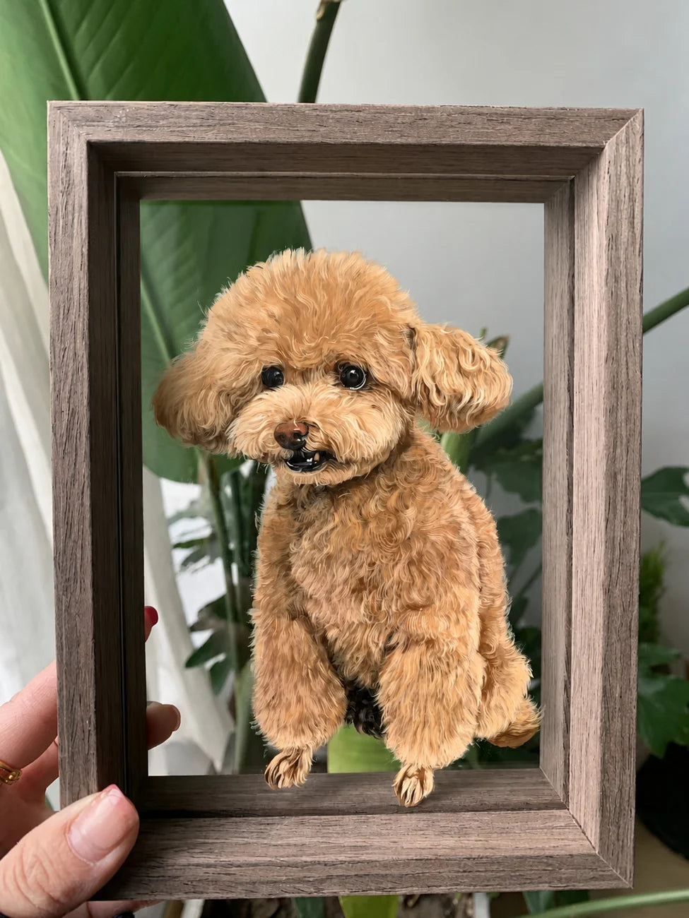 Finished apricot poodle glass portrait in a brown frame